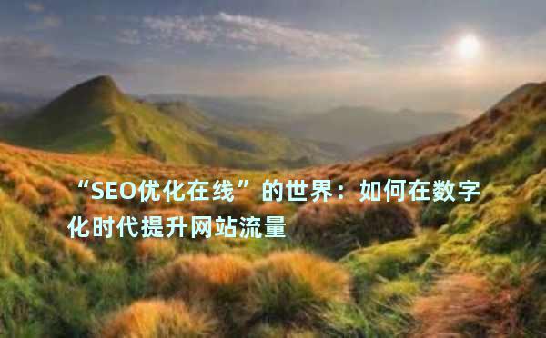 “SEO优化在线”的世界：如何在数字化时代提升网站流量