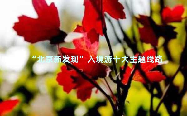“北京新发现”入境游十大主题线路