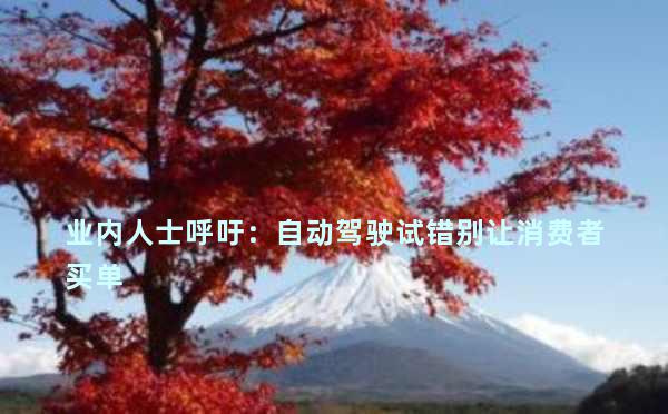 业内人士呼吁：自动驾驶试错别让消费者买单