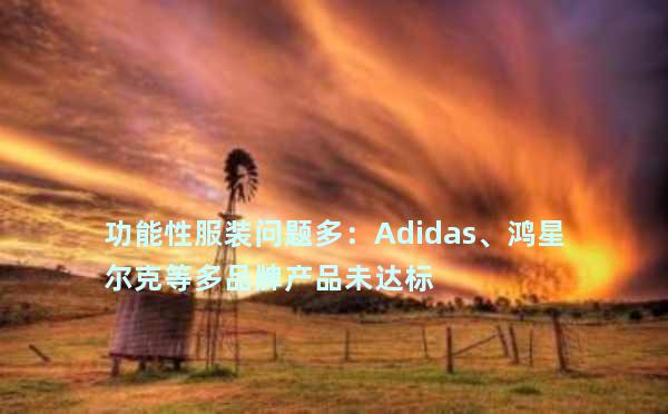 功能性服装问题多：Adidas、鸿星尔克等多品牌产品未达标