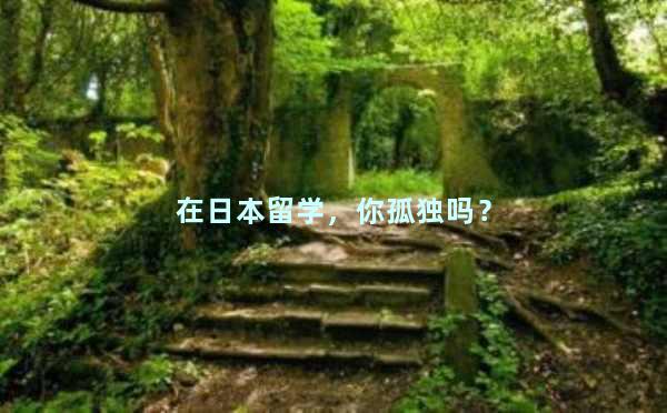 在日本留学，你孤独吗？