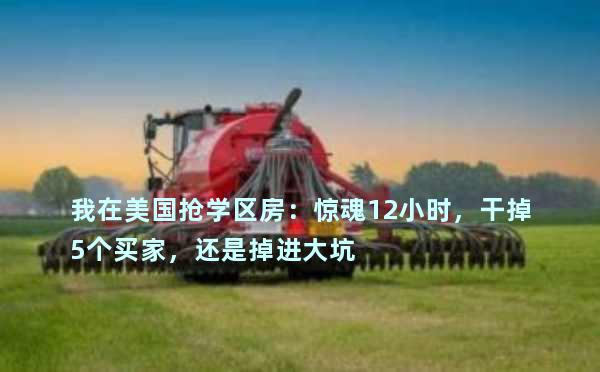 我在美国抢学区房：惊魂12小时，干掉5个买家，还是掉进大坑