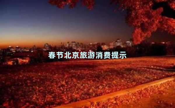 春节北京旅游消费提示