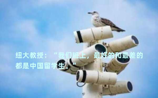 纽大教授：“我们班上，最好的和最差的都是中国留学生。”