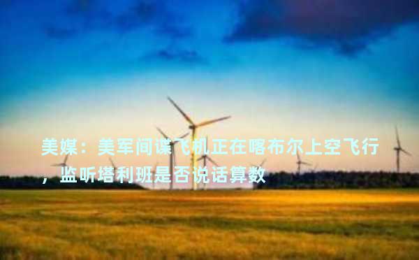 美媒：美军间谍飞机正在喀布尔上空飞行，监听塔利班是否说话算数