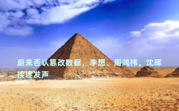 蔚来否认篡改数据，李想、周鸿祎、沈晖接连发声