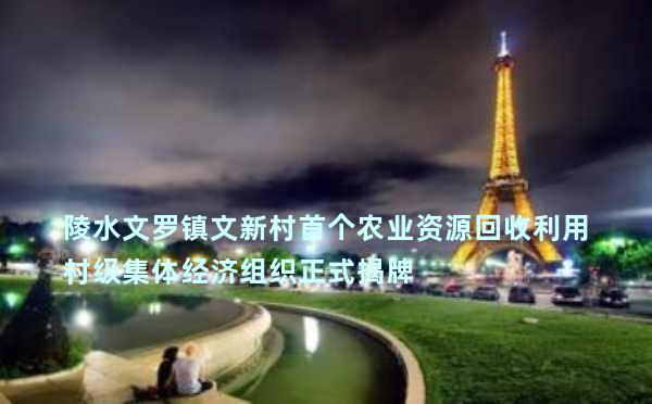 陵水文罗镇文新村首个农业资源回收利用村级集体经济组织正式揭牌