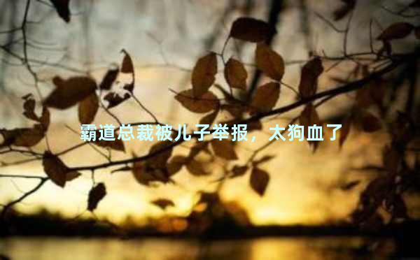 霸道总裁被儿子举报，太狗血了